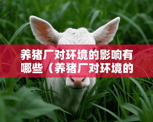 养猪厂对环境的影响有哪些（养猪厂对环境的影响有哪些内容）