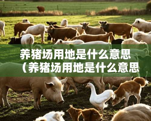 养猪场用地是什么意思（养猪场用地是什么意思呀）