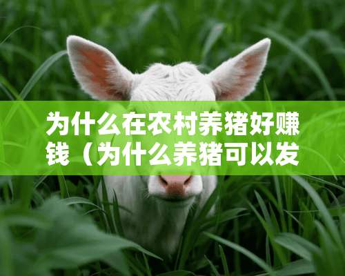 为什么在农村养猪好赚钱（为什么养猪可以发家致富）