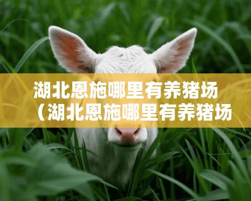 湖北恩施哪里有养猪场（湖北恩施哪里有养猪场出租）