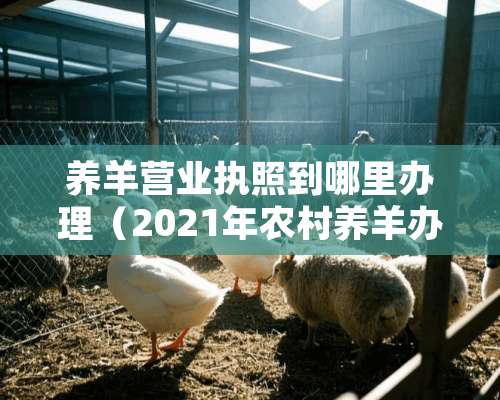 养羊营业执照到哪里办理（2021年农村养羊办理营业执照）