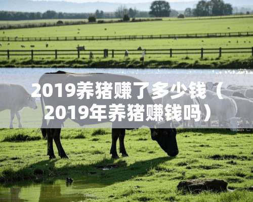 2019养猪赚了多少钱（2019年养猪赚钱吗）