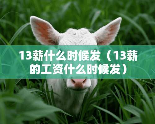 13薪什么时候发（13薪的工资什么时候发）