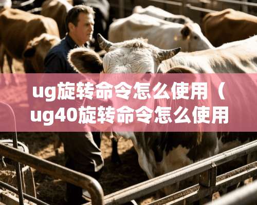 ug旋转命令怎么使用（ug40旋转命令怎么使用）