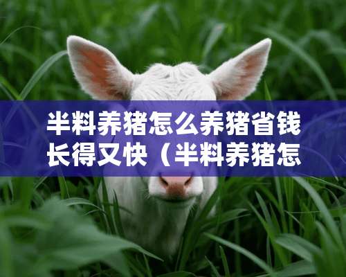 半料养猪怎么养猪省钱长得又快（半料养猪怎么养猪省钱长得又快又好吃）