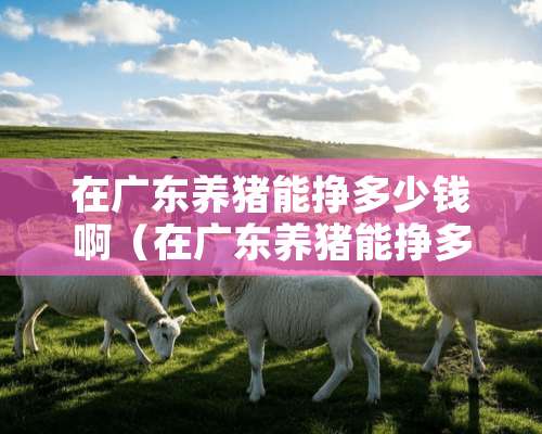 在广东养猪能挣多少钱啊（在广东养猪能挣多少钱啊现在）