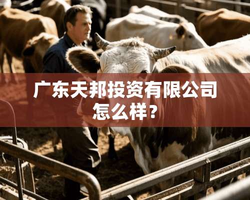 广东天邦投资有限公司怎么样？