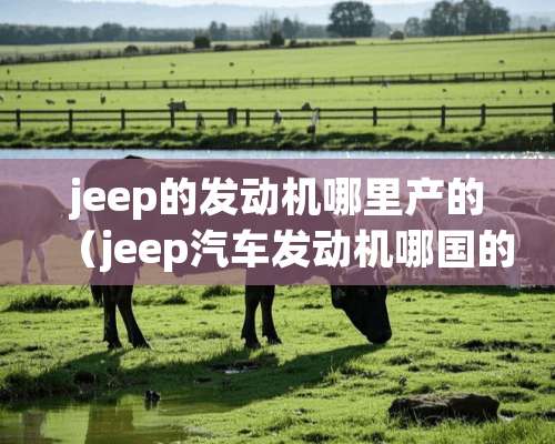 jeep的发动机哪里产的（jeep汽车发动机哪国的）