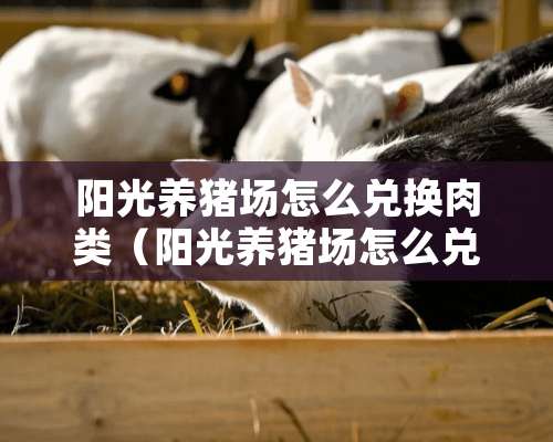 阳光养猪场怎么兑换肉类（阳光养猪场怎么兑换肉类的）