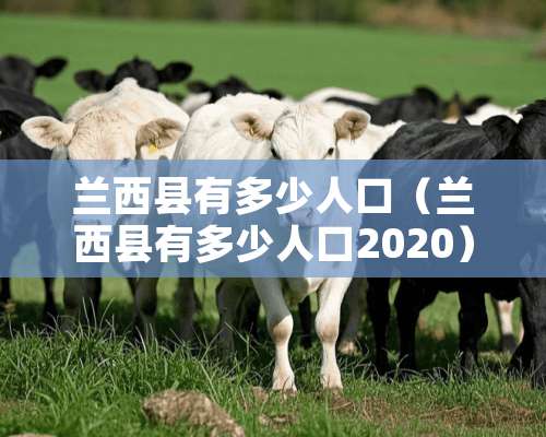 兰西县有多少人口（兰西县有多少人口2020）