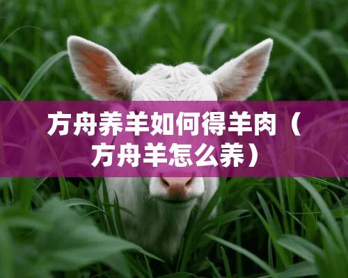 方舟养羊如何得羊肉（方舟羊怎么养）