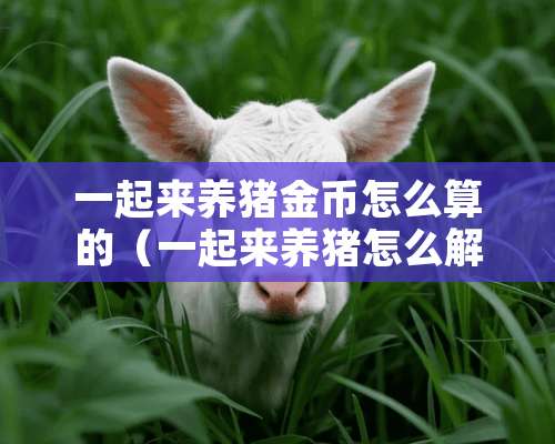 一起来养猪金币怎么算的（一起来养猪怎么解锁猪买卖）