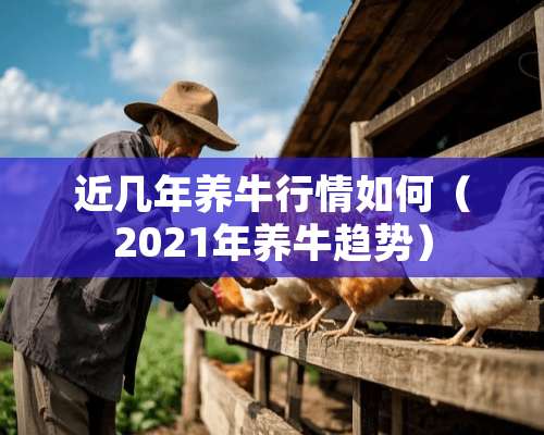 近几年养牛行情如何（2021年养牛趋势）