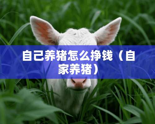 自己养猪怎么挣钱（自家养猪）