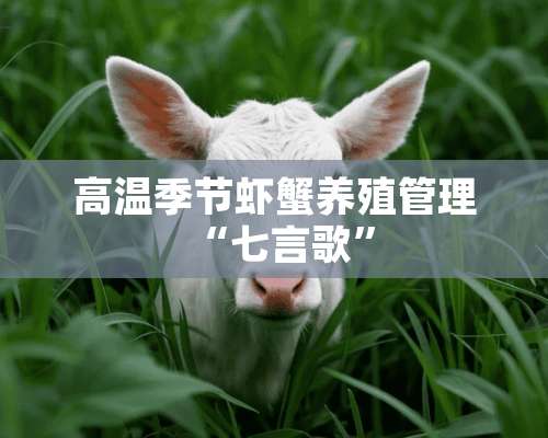 高温季节虾蟹养殖管理“七言歌”