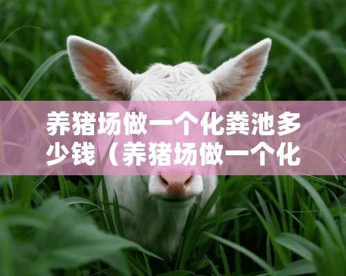 养猪场做一个化粪池多少钱（养猪场做一个化粪池多少钱一平方）