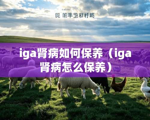 iga肾病如何保养（iga肾病怎么保养）