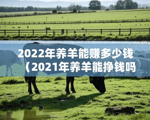 2022年养羊能赚多少钱（2021年养羊能挣钱吗）