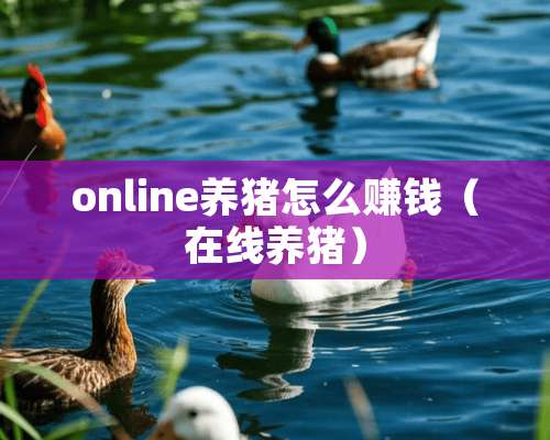 online养猪怎么赚钱（在线养猪）