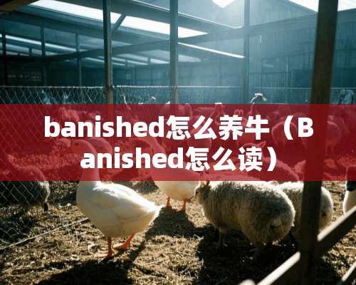 banished怎么养牛（Banished怎么读）