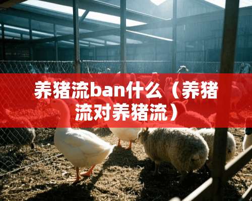 养猪流ban什么（养猪流对养猪流）