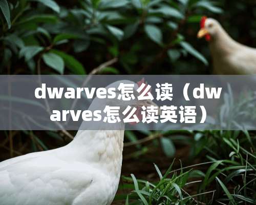 dwarves怎么读（dwarves怎么读英语）