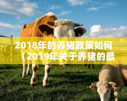 2018年的养猪政策如何（2019年关于养猪的最新国家政策）