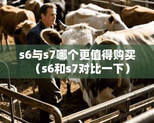 s6与s7哪个更值得购买（s6和s7对比一下）