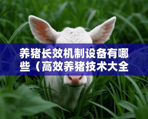 养猪长效机制设备有哪些（高效养猪技术大全）