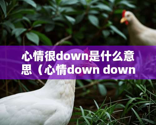 心情很down是什么意思（心情down down down什么意思）