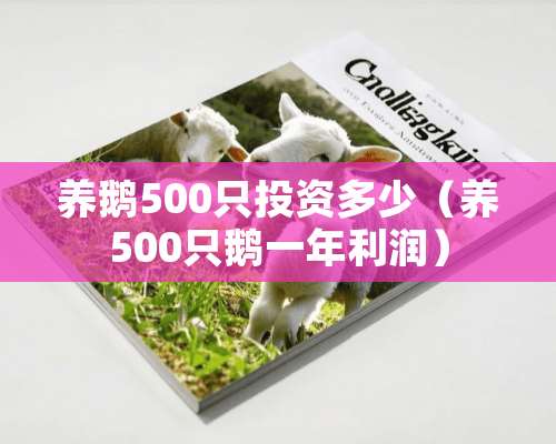 养鹅500只投资多少（养500只鹅一年利润）