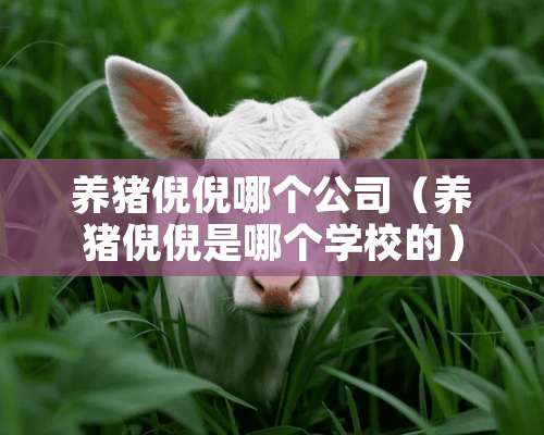 养猪倪倪哪个公司（养猪倪倪是哪个学校的）