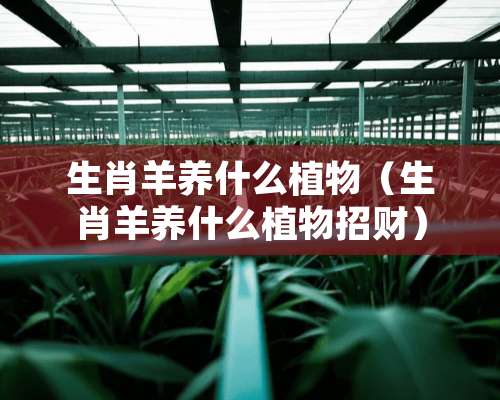 生肖羊养什么植物（生肖羊养什么植物招财）