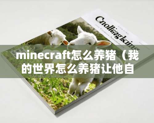 minecraft怎么养猪（我的世界怎么养猪让他自己吃东西）