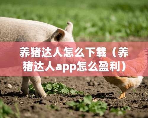 养猪达人怎么下载（养猪达人app怎么盈利）