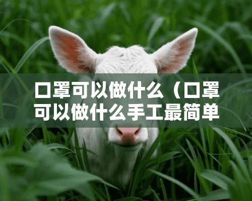 口罩可以做什么（口罩可以做什么手工最简单）