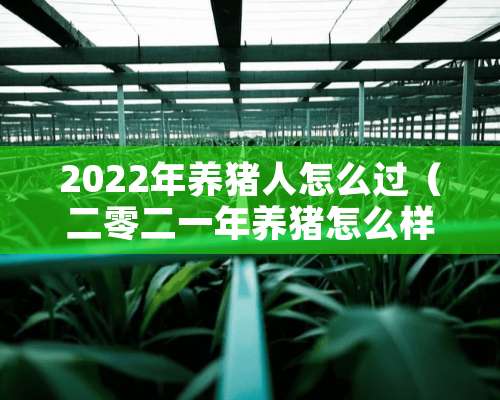 2022年养猪人怎么过（二零二一年养猪怎么样）