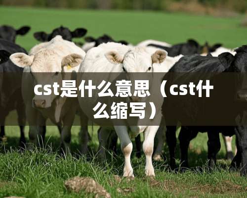 cst是什么意思（cst什么缩写）