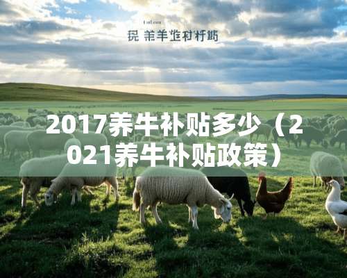 2017养牛补贴多少（2021养牛补贴政策）