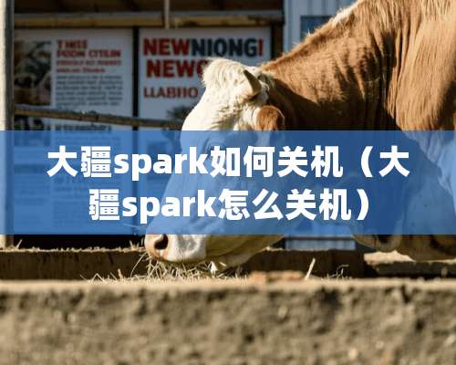 大疆spark如何关机（大疆spark怎么关机）