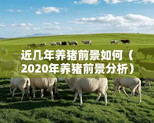 近几年养猪前景如何（2020年养猪前景分析）