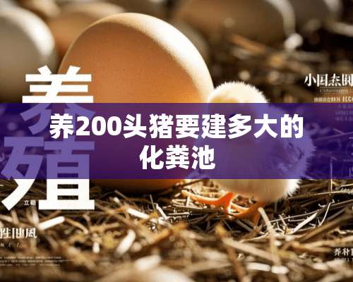 养200头猪要建多大的化粪池