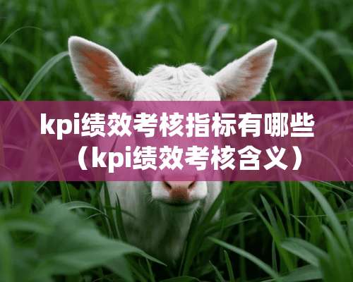 kpi绩效考核指标有哪些（kpi绩效考核含义）