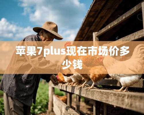 苹果7plus现在市场价多少钱