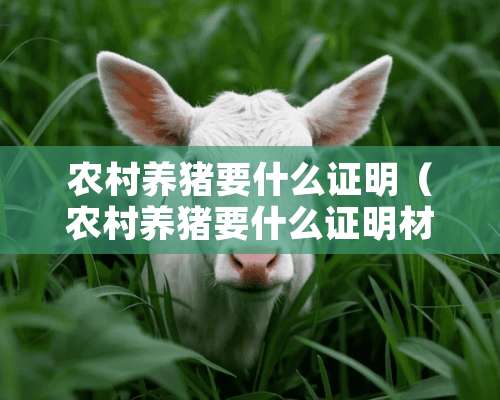 农村养猪要什么证明（农村养猪要什么证明材料）