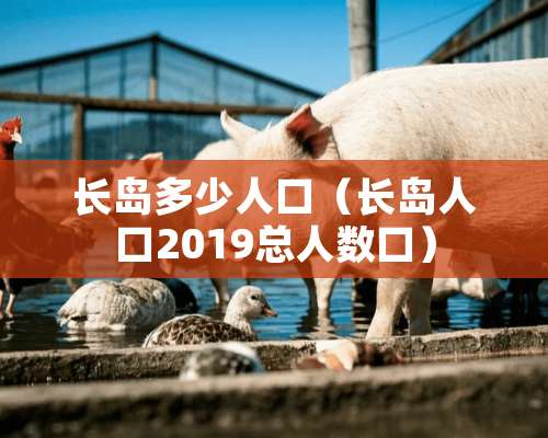 长岛多少人口（长岛人口2019总人数口）