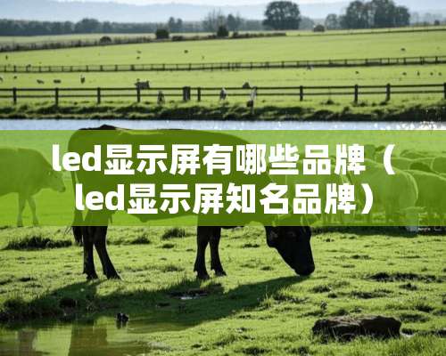 led显示屏有哪些品牌（led显示屏知名品牌）