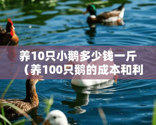 养10只小鹅多少钱一斤（养100只鹅的成本和利润）