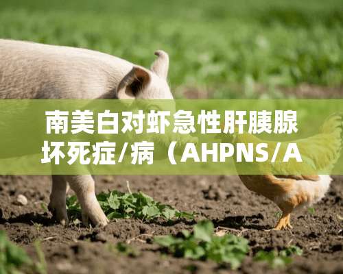 南美白对虾急性肝胰腺坏死症/病（AHPNS/AHPND）