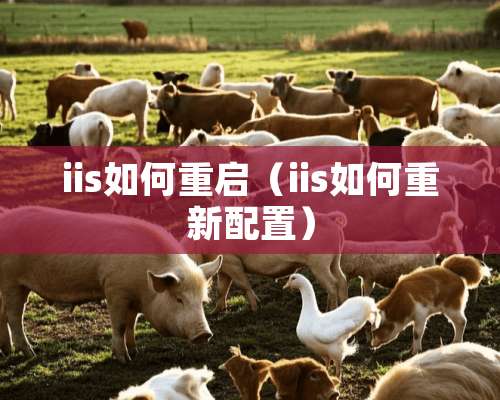 iis如何重启（iis如何重新配置）